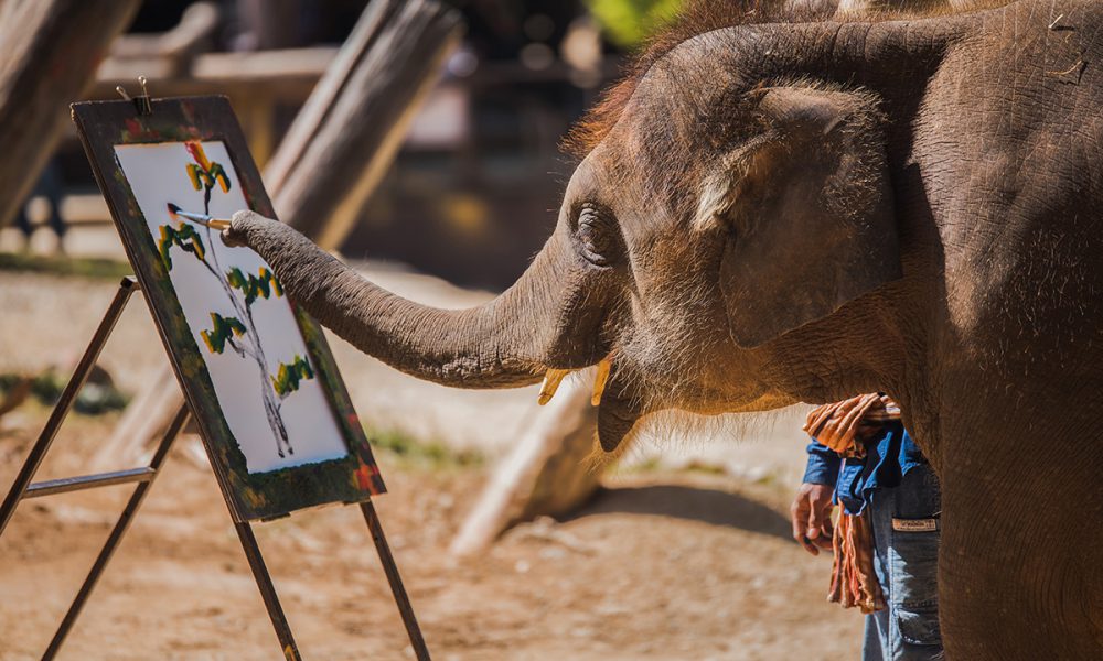 Elephant-painting