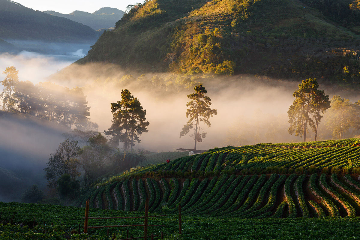 Doi Ang Khang, Chiang Mai