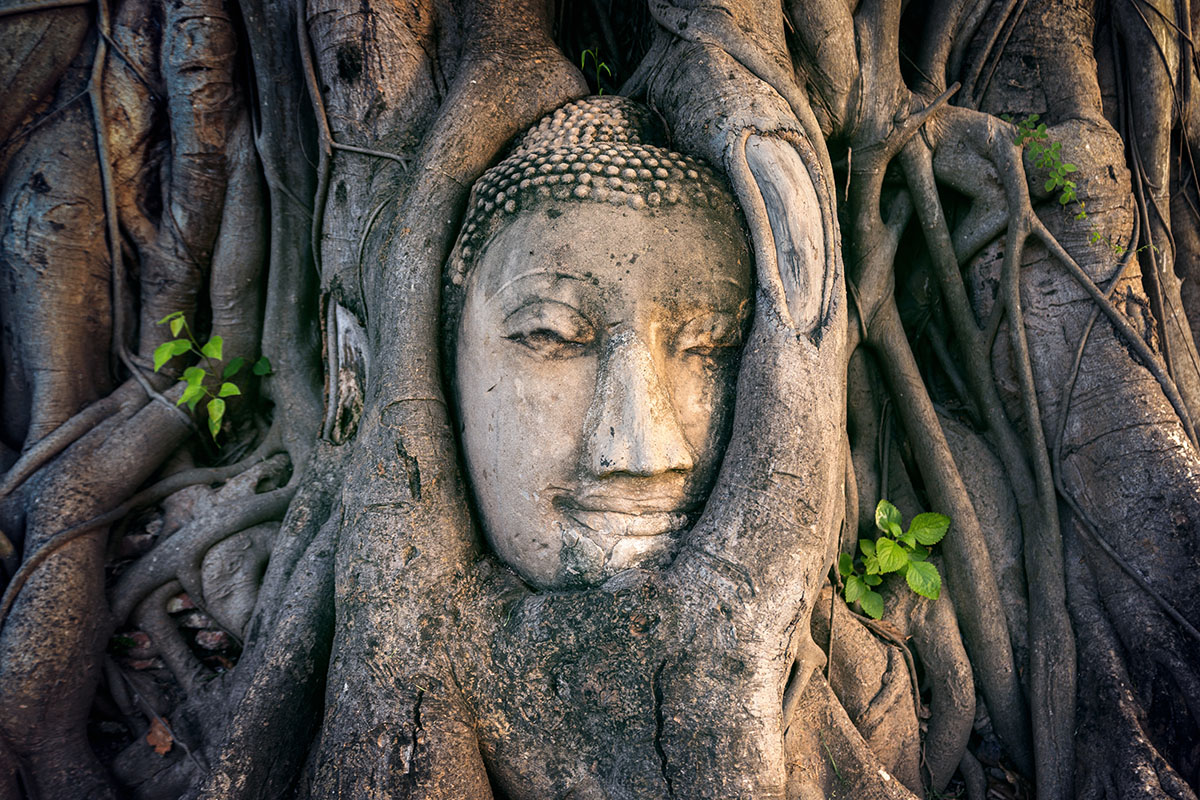 Ayutthaya Historical Park