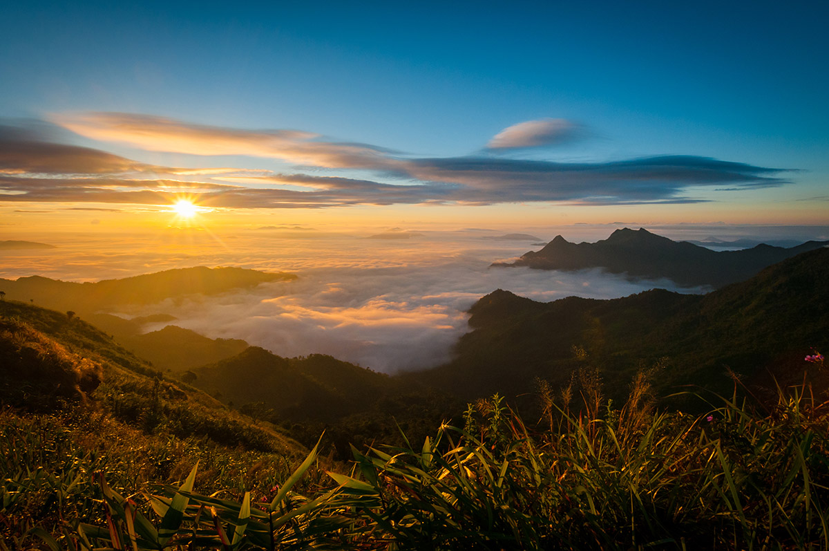 Phu Chi Fa