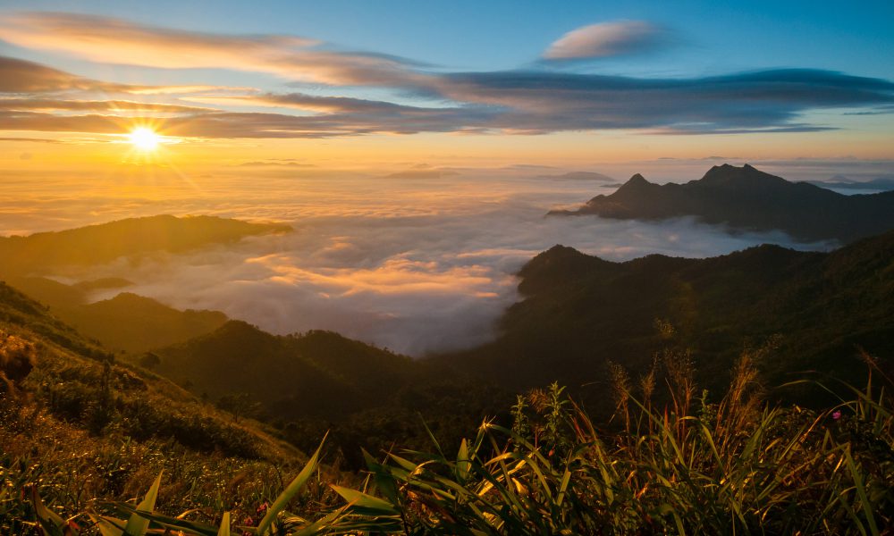 Phu Chi Fa